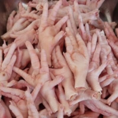 resources of Quality Great A Halal Frozen Chicken Paws exporters
