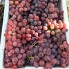 Crimson Seedless Grape Exporters, Wholesaler & Manufacturer | Globaltradeplaza.com
