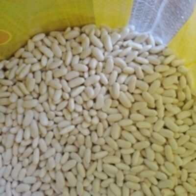 resources of Polish White Kidney Beans exporters