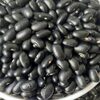 High Quality Black Kidney Beans Exporters, Wholesaler & Manufacturer | Globaltradeplaza.com