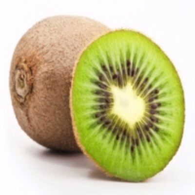 resources of Fresh Kiwi Fruits exporters