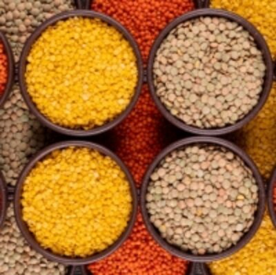resources of Green And Red Lentils exporters