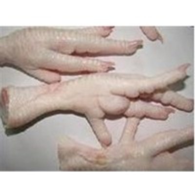 resources of Chicken Feet, Paws exporters