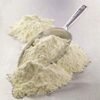 Camel Milk Powder Exporters, Wholesaler & Manufacturer | Globaltradeplaza.com