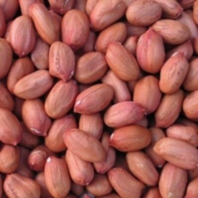 resources of Raw Peanut Kernels exporters