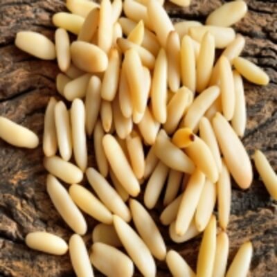 resources of Pine Nut Kernel exporters