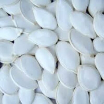 resources of Snow White Pumpkin Seeds exporters