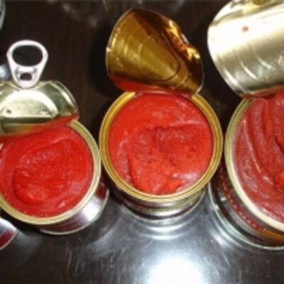 resources of Canned Tomato Paste exporters