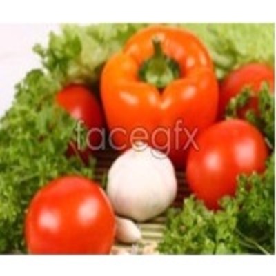 resources of Fresh Vegetables exporters