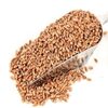 Wheat Kernels Exporters, Wholesaler & Manufacturer | Globaltradeplaza.com