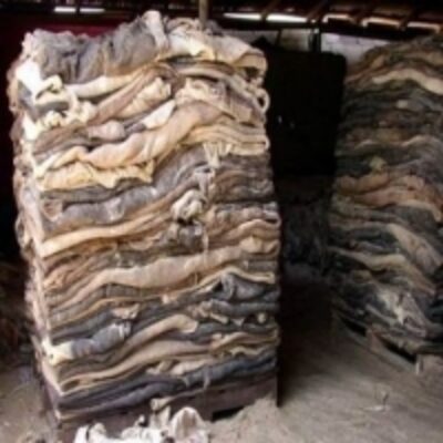 resources of Wet And Dry Salted Cow Hides exporters