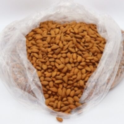 Sweet California Almonds Nuts For Sale Exporters, Wholesaler & Manufacturer | Globaltradeplaza.com