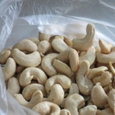 Processed Cashew Nut Kernels W240 W320 W450 Exporters, Wholesaler & Manufacturer | Globaltradeplaza.com
