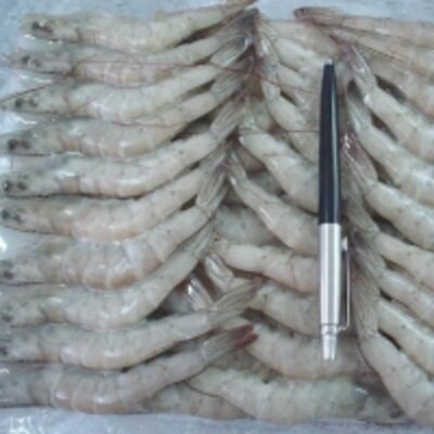 Frozen Shrimps/prawns For Export Exporters, Wholesaler & Manufacturer | Globaltradeplaza.com
