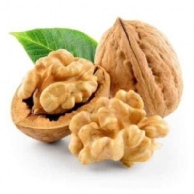 Cheap Walnuts Nuts Exporters, Wholesaler & Manufacturer | Globaltradeplaza.com