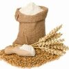 Soft Wheat Exporters, Wholesaler & Manufacturer | Globaltradeplaza.com