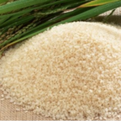 resources of Seeraga Samba Rice exporters