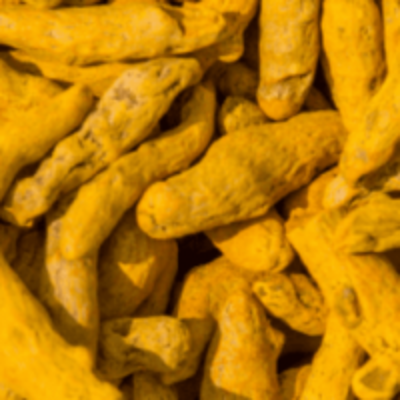 resources of Turmeric Finger &amp; Powder exporters