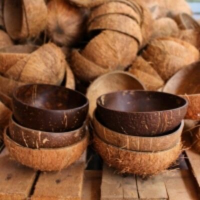 resources of Coconut Shell Bowl From Vietnam exporters