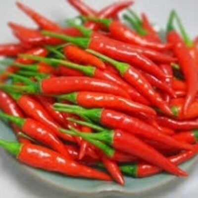 resources of Fresh Chili From Viet Nam exporters