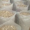 First Choice Washed, Dried And Sorted Ginger Exporters, Wholesaler & Manufacturer | Globaltradeplaza.com