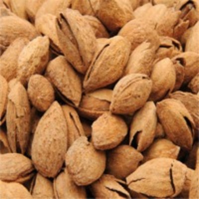 Chilean Almonds Exporters, Wholesaler & Manufacturer | Globaltradeplaza.com