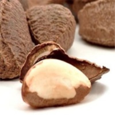 Brazil Nut Exporters, Wholesaler & Manufacturer | Globaltradeplaza.com