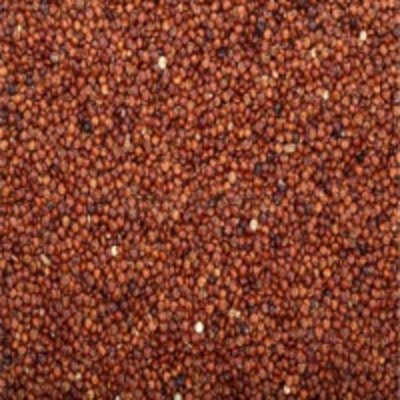 Red Quinoa Exporters, Wholesaler & Manufacturer | Globaltradeplaza.com
