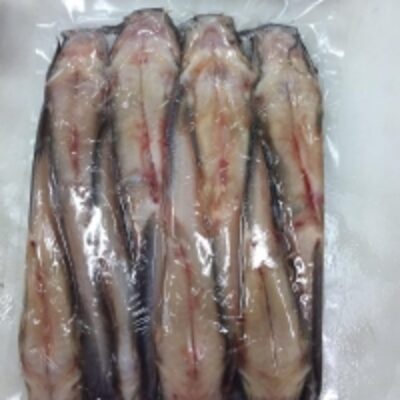 resources of Indonesian Frozen Whole Catfish exporters