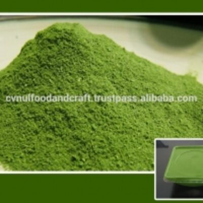 resources of Moringa Bulk Leaf Powder exporters
