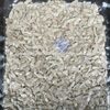 Mahogany Seeds Exporters, Wholesaler & Manufacturer | Globaltradeplaza.com