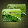 Moringa Oleifera Tea Leaf Teabag Herbal Exporters, Wholesaler & Manufacturer | Globaltradeplaza.com