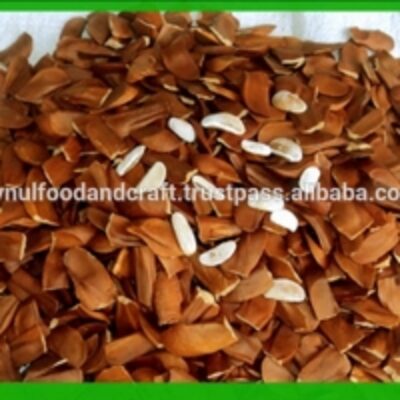 resources of Mahogany Seeds exporters
