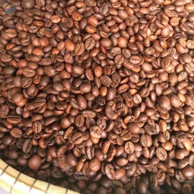 Robusta &amp; Arabica Coffee Exporters, Wholesaler & Manufacturer | Globaltradeplaza.com