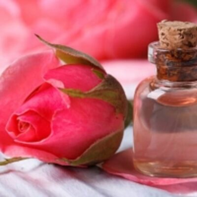 resources of Rose Water exporters