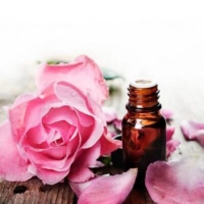 resources of Rose Absolute Damascena Essential Oil exporters