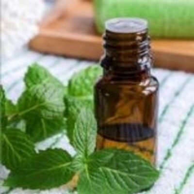 resources of Mentha Piperita Oil exporters