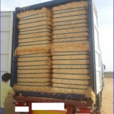 resources of Wheat Straw For Sale exporters
