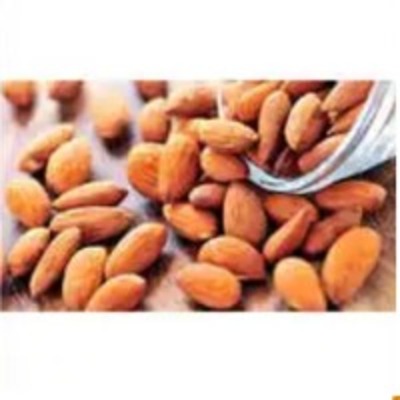 resources of Fresh Almond exporters