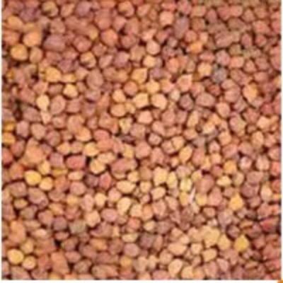 resources of Black Chickpeas exporters