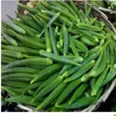 resources of Lady Finger exporters
