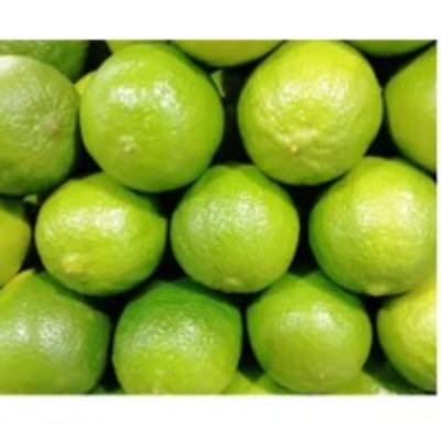 resources of Fresh Lemon exporters