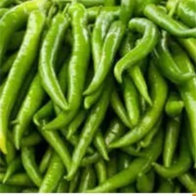 resources of Green Chilli exporters
