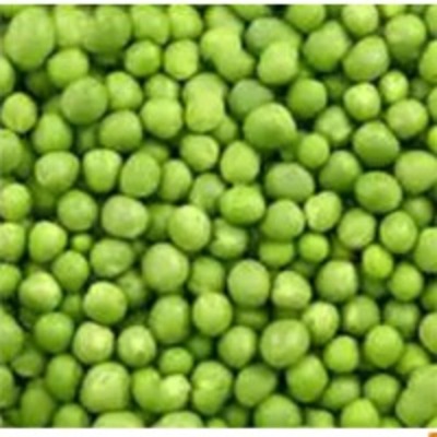 resources of Green Pea exporters