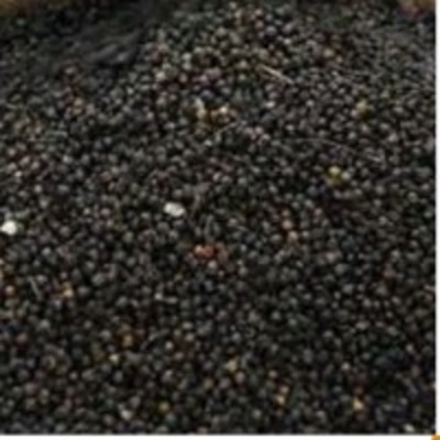 resources of Whole Black Pepper exporters