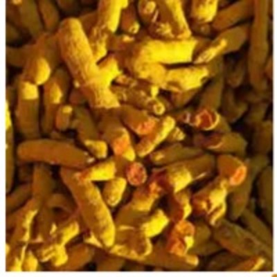 resources of Turmeric Finger exporters