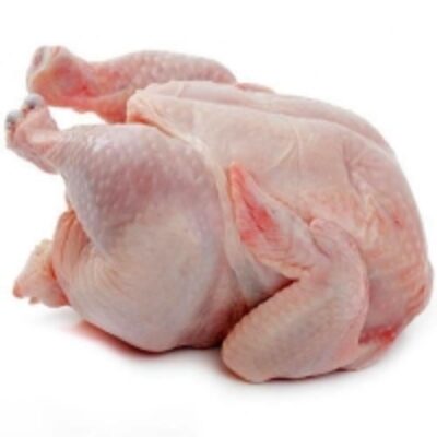 resources of Halal Whole Frozen Chicken exporters