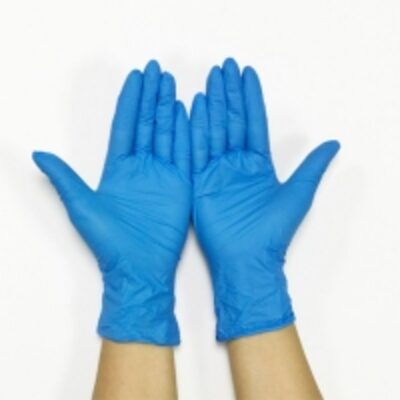 resources of Nitrile Gloves Blue &amp; White exporters
