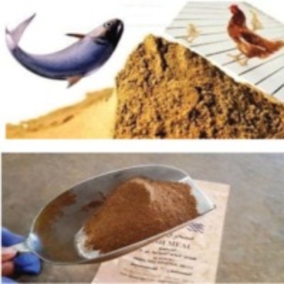 resources of Fish Meal exporters