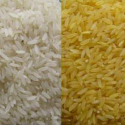 resources of Irri 6 Long Grain Cheaper Rice exporters